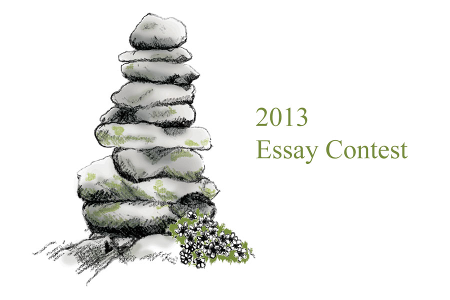 2012 premyo rizal essay writing contest winners