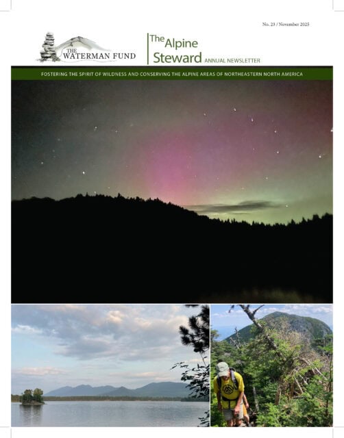WATERMAN FUND 2025 Alpine Steward cover