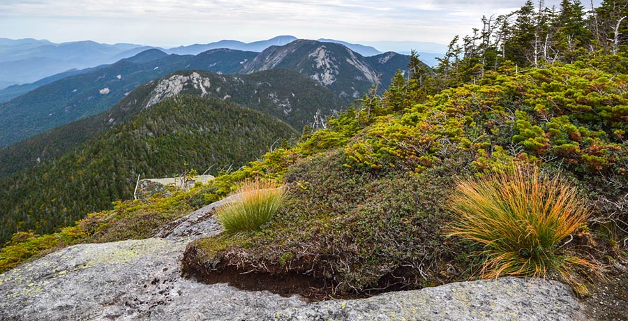 New England alpine region